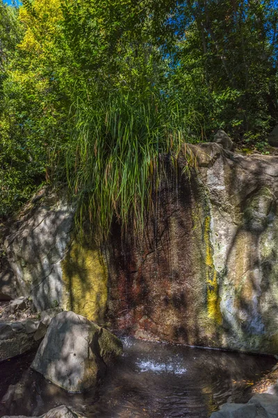 Cascada Artificial Parque Vorontsov Ciudad Yalta Península Crimea —  Fotos de Stock