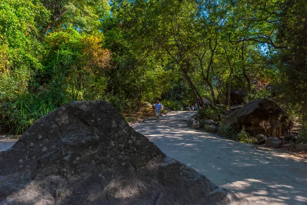 Verano Jugosa Toma Con Vistas Increíblemente Hermoso Parque Palacio Vorontsov —  Fotos de Stock