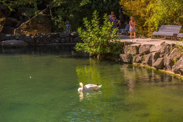 Verano Jugosa Toma Con Vistas Increíblemente Hermoso Parque Palacio Vorontsov —  Fotos de Stock