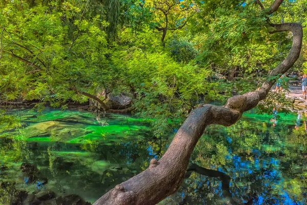 Verano Jugosa Toma Con Vistas Increíblemente Hermoso Parque Palacio Vorontsov —  Fotos de Stock