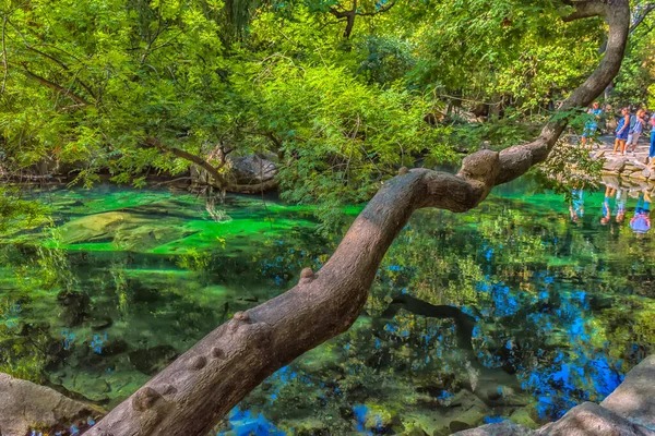 ヴォロンツォフ宮殿 アルプカ クリミアの信じられないほど美しい公園を見下ろす夏のジューシーなショット — ストック写真