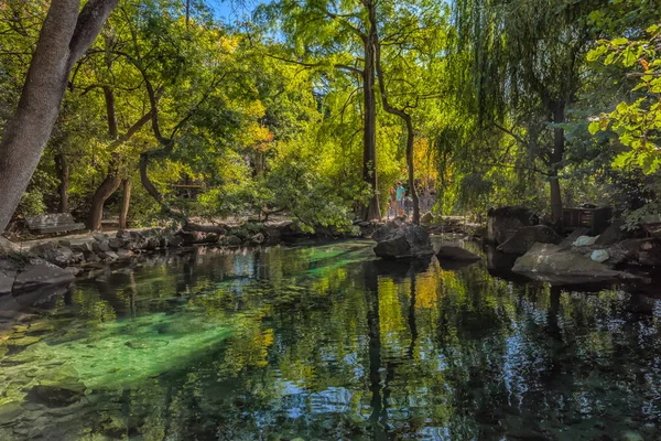 Sommaren Saftig Skott Med Utsikt Över Otroligt Vacker Park Vorontsov — Stockfoto