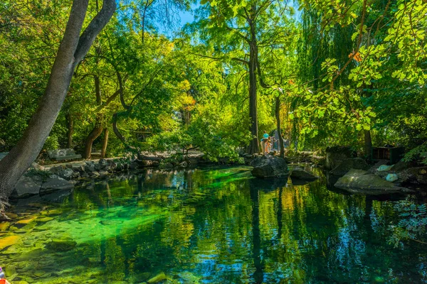 Verano Jugosa Toma Con Vistas Increíblemente Hermoso Parque Palacio Vorontsov —  Fotos de Stock