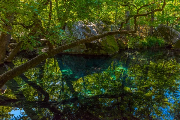 Verano Jugosa Toma Con Vistas Increíblemente Hermoso Parque Palacio Vorontsov — Foto de Stock