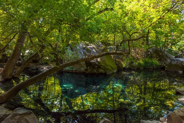 Sommaren Saftig Skott Med Utsikt Över Otroligt Vacker Park Vorontsov — Stockfoto