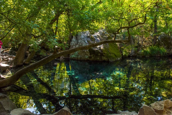 Verano Jugosa Toma Con Vistas Increíblemente Hermoso Parque Palacio Vorontsov —  Fotos de Stock