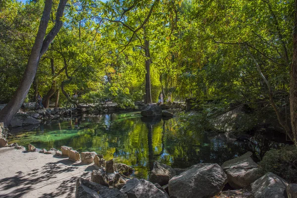 Sommaren Saftig Skott Med Utsikt Över Otroligt Vacker Park Vorontsov — Stockfoto