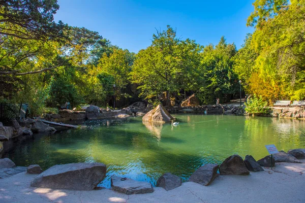 Verano Jugosa Toma Con Vistas Increíblemente Hermoso Parque Palacio Vorontsov —  Fotos de Stock