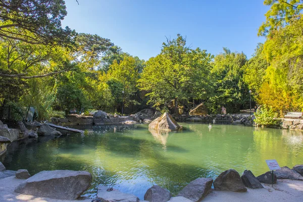 Verano Jugosa Toma Con Vistas Increíblemente Hermoso Parque Palacio Vorontsov —  Fotos de Stock