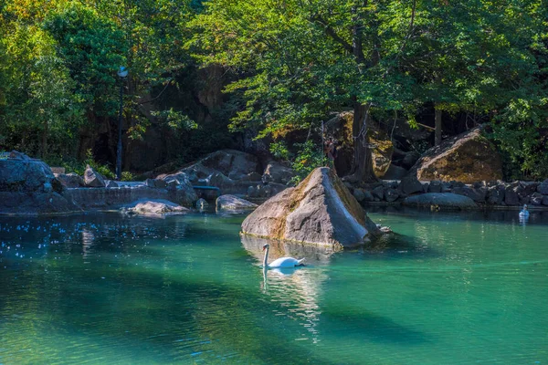 Verano Jugosa Toma Con Vistas Increíblemente Hermoso Parque Palacio Vorontsov —  Fotos de Stock