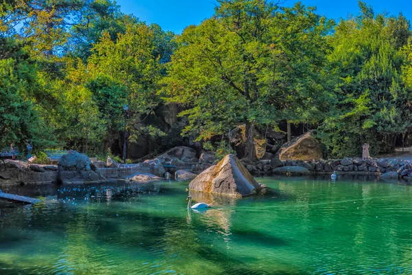 Verano Jugosa Toma Con Vistas Increíblemente Hermoso Parque Palacio Vorontsov —  Fotos de Stock