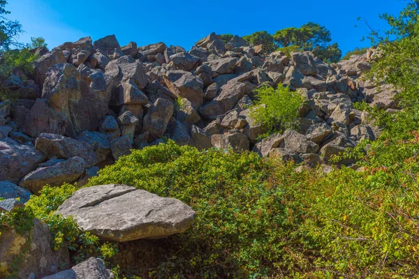 Letní Šťavnatý Záběr Výhledem Neuvěřitelně Krásný Park Voroncově Paláci Alupka — Stock fotografie