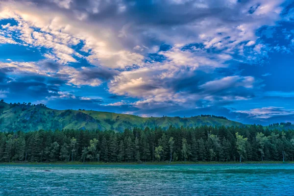 カトゥン川と松とスプルースの森 — ストック写真