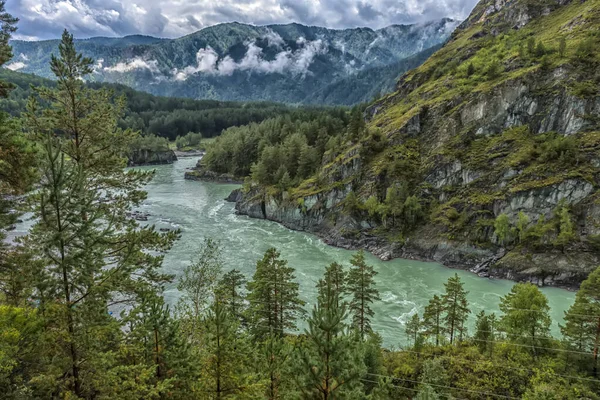 Rzeki Chuya Katun Łączą Się Górach Altai Syberia Rosja Widok — Zdjęcie stockowe