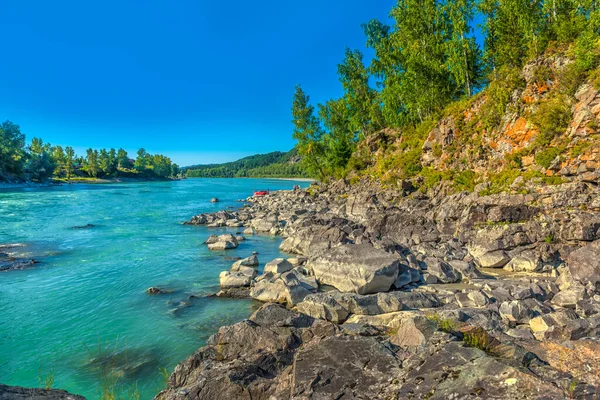 Rzeka Katun Turkusową Wodą Kamieniami Pierwszym Planie — Zdjęcie stockowe