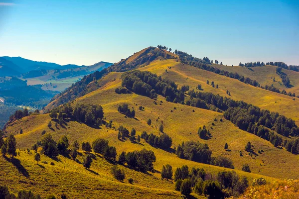 Paysage Été Avec Des Collines Des Montagnes Altaï Montagne Altaï — Photo