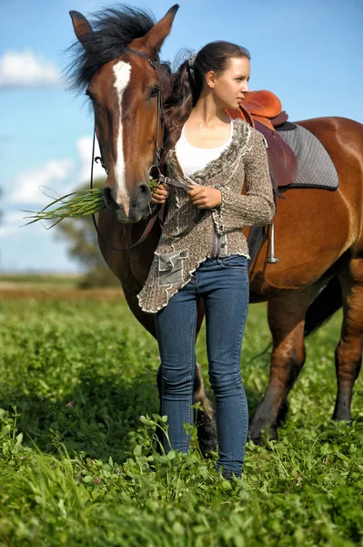 茶色の馬と美しい若い十代の少女 — ストック写真