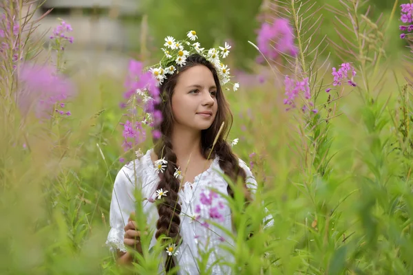 Girl with braids and daisies in her hair. — Stock Photo, Image
