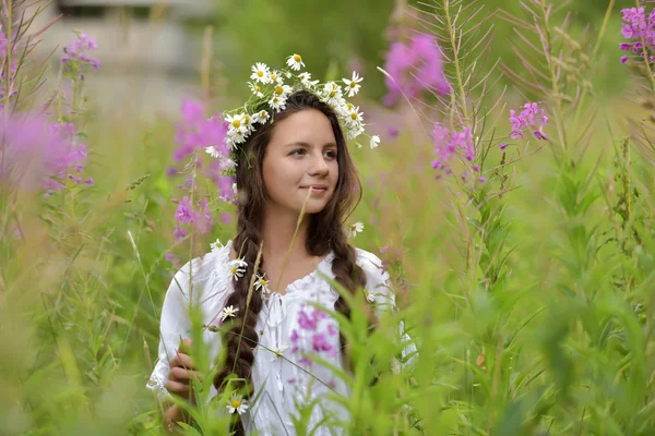 Menina com tranças e margaridas em seu cabelo . — Fotografia de Stock