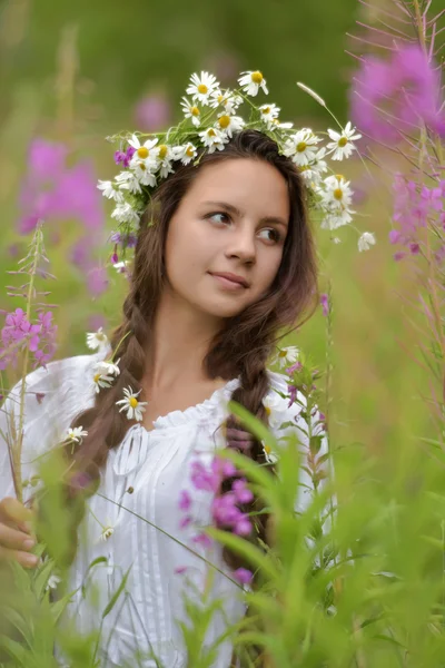 Girl with braids and daisies in her hair. — Stock Photo, Image