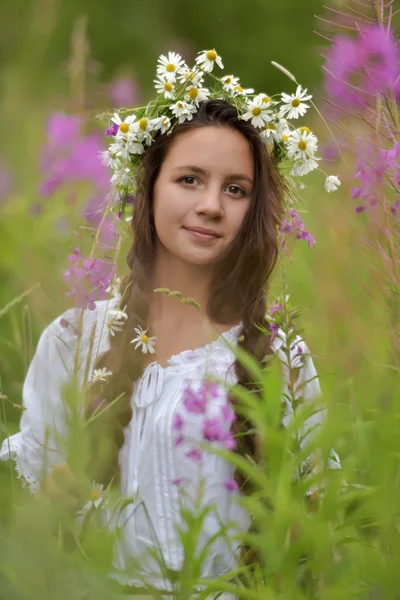 Mädchen mit Zöpfen und Gänseblümchen im Haar. — Stockfoto