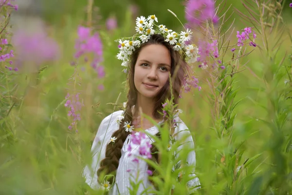 Lány fonatokkal és százszorszépekkel a hajában. — Stock Fotó