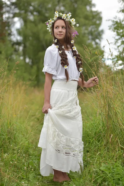 Menina com tranças e margaridas em seu cabelo . — Fotografia de Stock