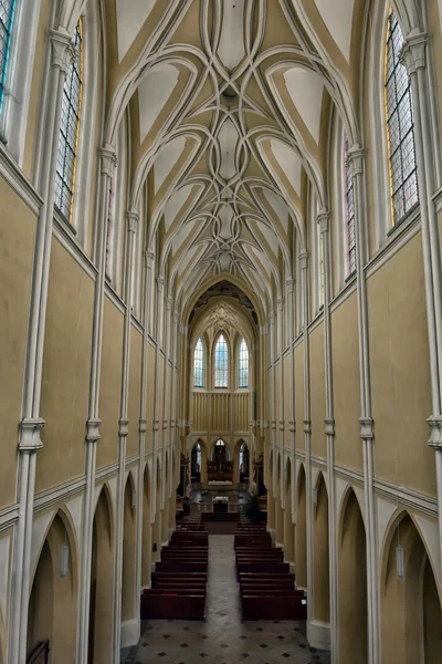 Kutna Hora République Tchèque Organe Église Dans Cathédrale Assomption Notre — Photo