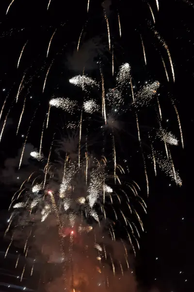 Fuegos artificiales en el cielo oscuro —  Fotos de Stock