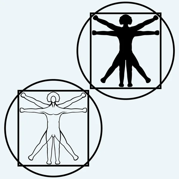 Hombre de Vitruvio. Vector — Archivo Imágenes Vectoriales