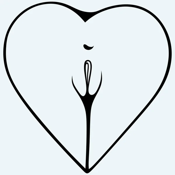 Culo femenino en forma de corazón. Parte del cuerpo XXX — Vector de stock