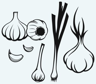 sarımsak başları