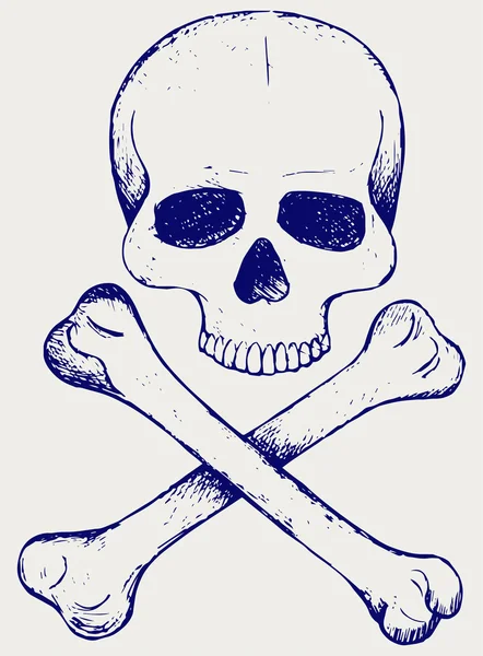 Череп и перекрещенные кости — стоковый вектор