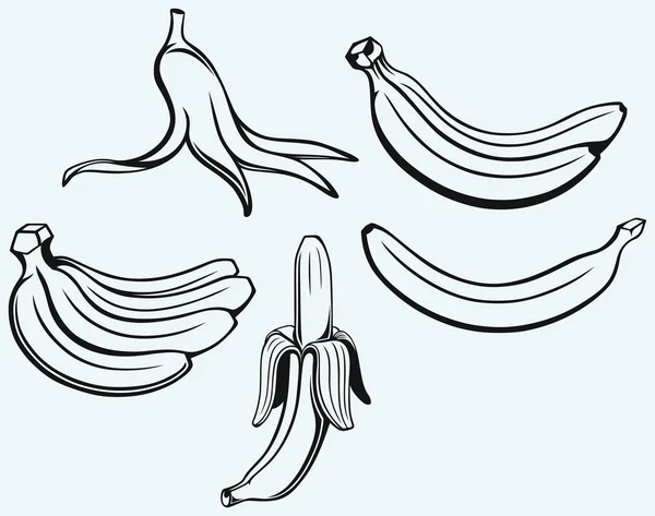 Ramo de plátanos, plátanos pelados y cáscara de plátano — Vector de stock