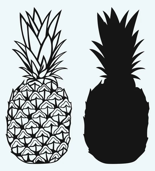 Rijp lekker ananas — Stockvector