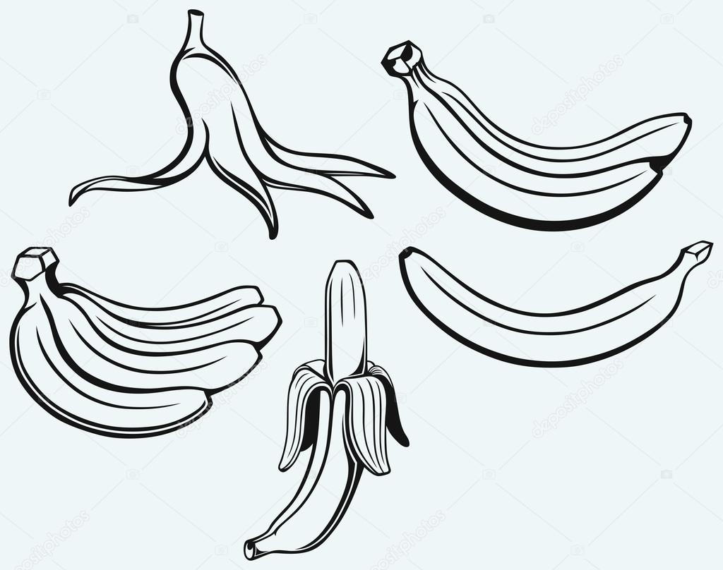 Bunch of bananas, peeled banana and banana peel
