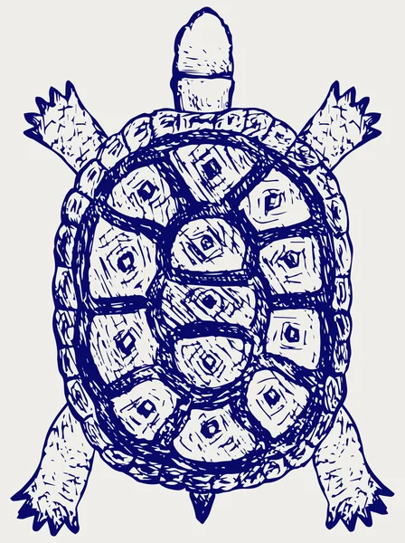 Tortue terrestre — Image vectorielle