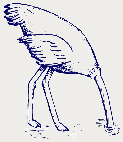 Struisvogel die zijn kop in het zand begraven — Stockvector