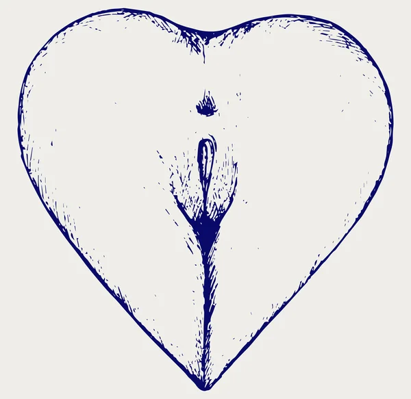 Kalp şeklinde kadın götten — Stok Vektör