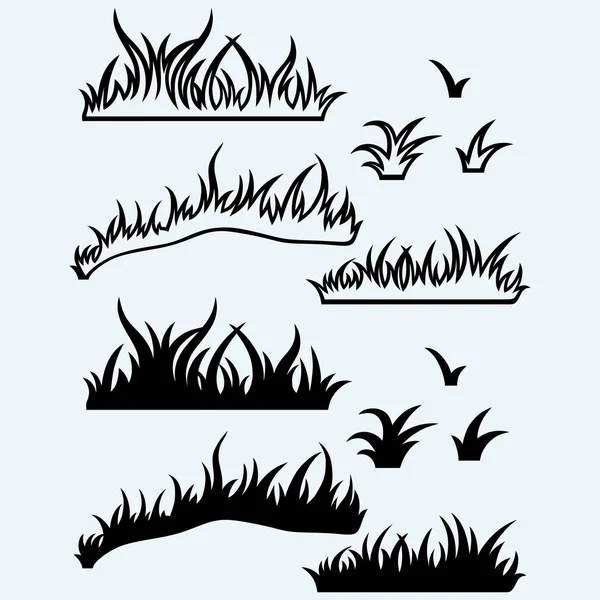 Silhouette grass — Stock Vector