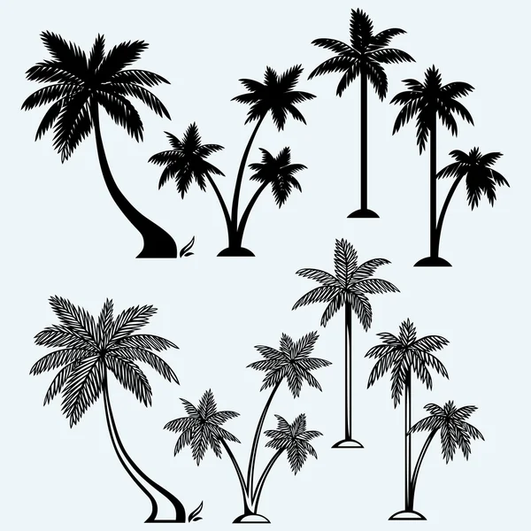 Silhouet van palmbomen — Stockvector