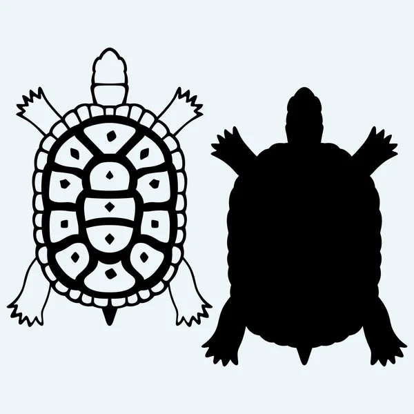 Tortuga. Siluetas vectoriales — Vector de stock