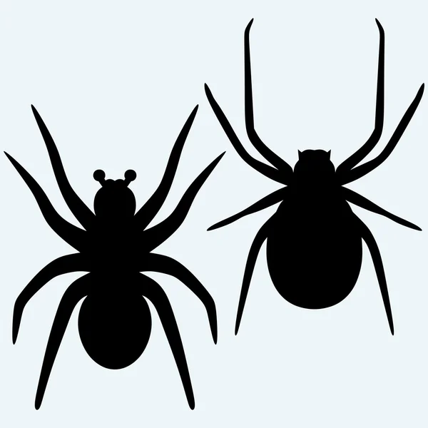 Set spider icon — Stock Vector