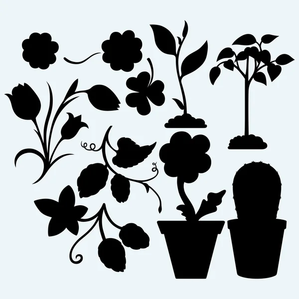 Establecer plantas. Vector — Archivo Imágenes Vectoriales