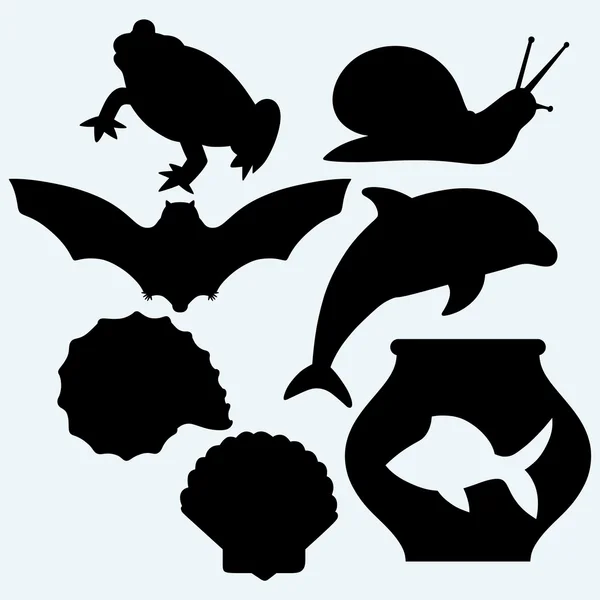 Dolphin jumping, fish in aquarium, frog, bat, garden snail and sea snail - Stok Vektor