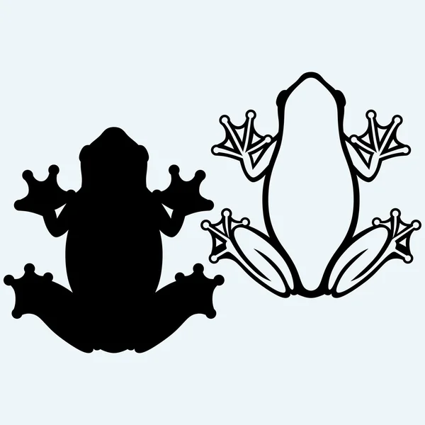 Frog. Vector silhouettes — Stock Vector