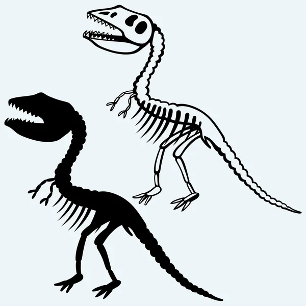 Tyrannosaurus skeleton vector — Stock Vector