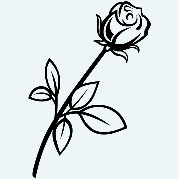 玫瑰花朵矢量 免版税图库插图
