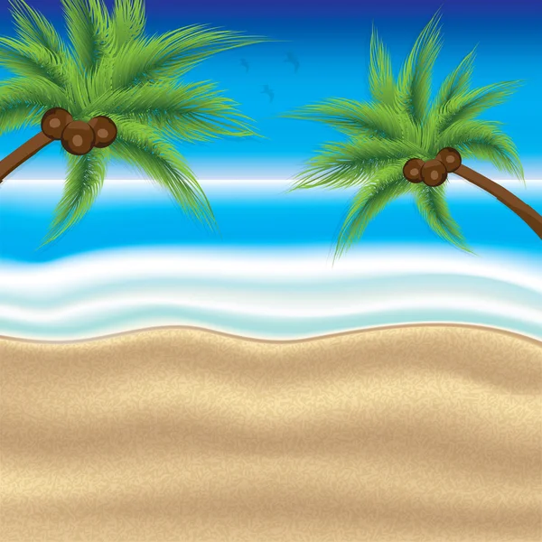 Fondo de playa tropical — Vector de stock