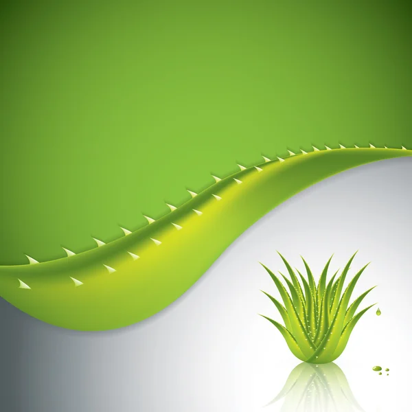 Projeto de Aloe Vera — Vetor de Stock